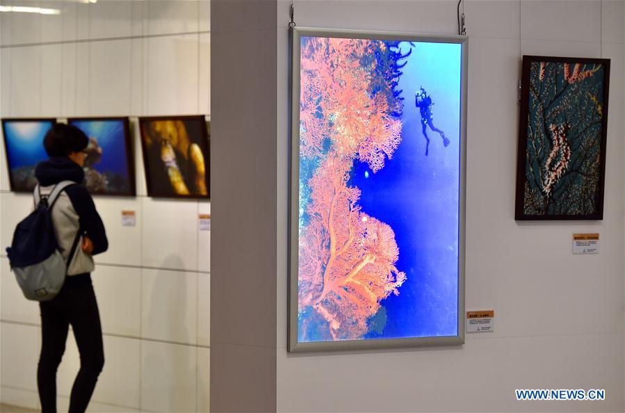 CHINA-TAICHUNG-PHOTO EXHIBITION (CN)