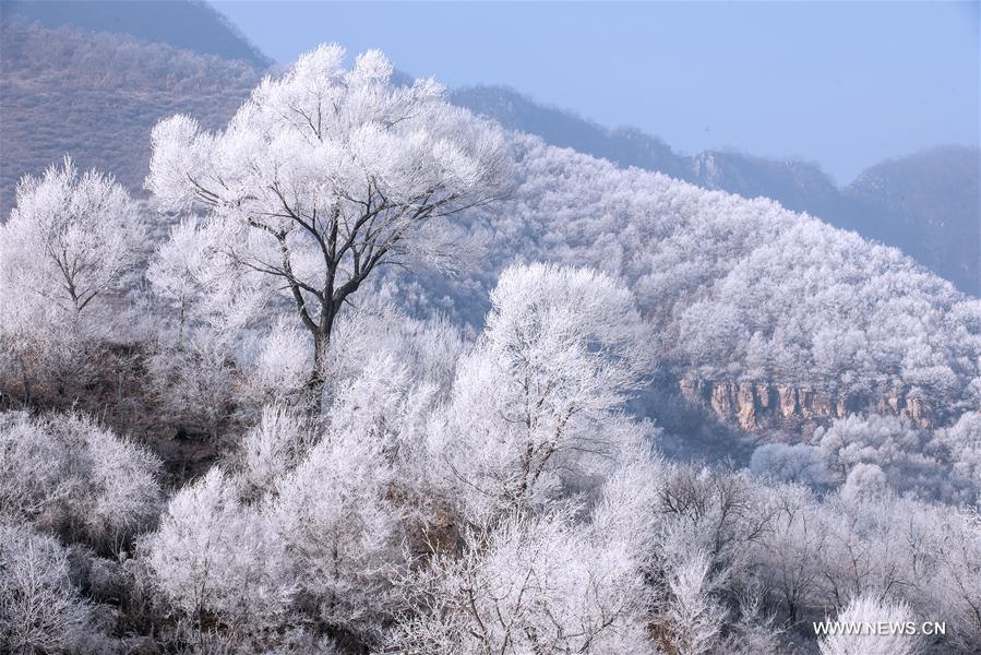 #CHINA-SHANXI-FROST SCENERY (CN)