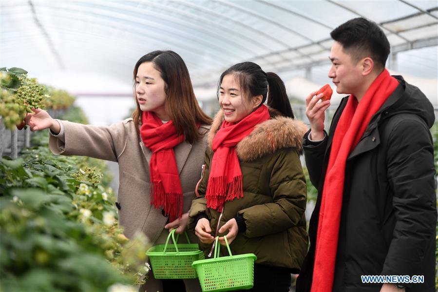 CHINA-ZHEJIANG-STRAWBERRY-TOURIST(CN)