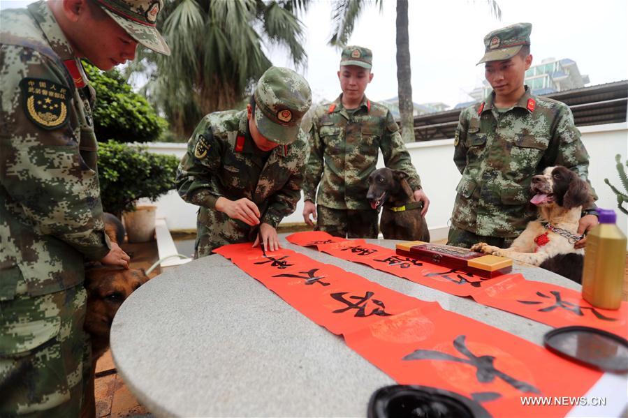 #CHINA-HAINAN-POLICE DOG-SPRING FESTIVAL-YEAR OF DOG(CN)