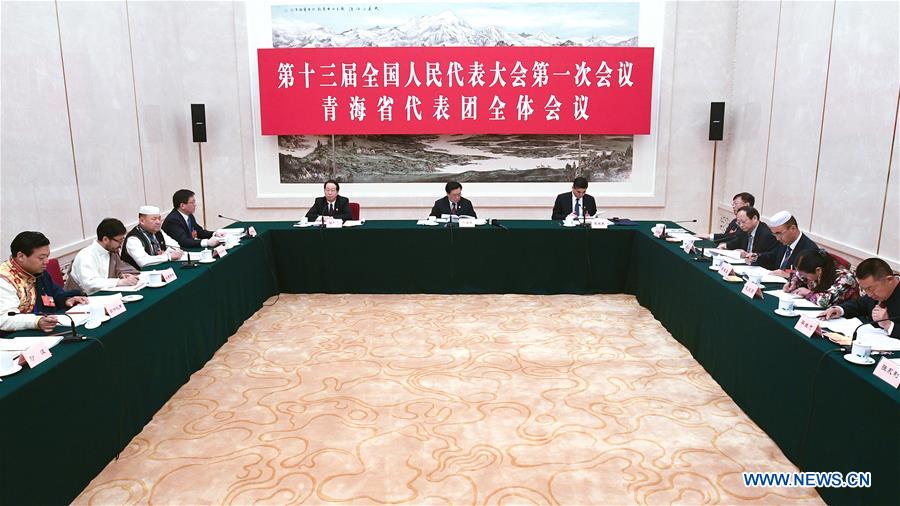 (TWO SESSIONS)CHINA-BEIJING-NPC-QINGHAI DELEGATION-PLENARY MEETING (CN)