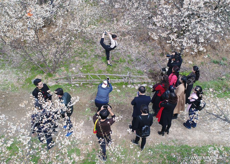 CHINA-SHAANXI-ANKANG-CHERRY BLOSSOM (CN)