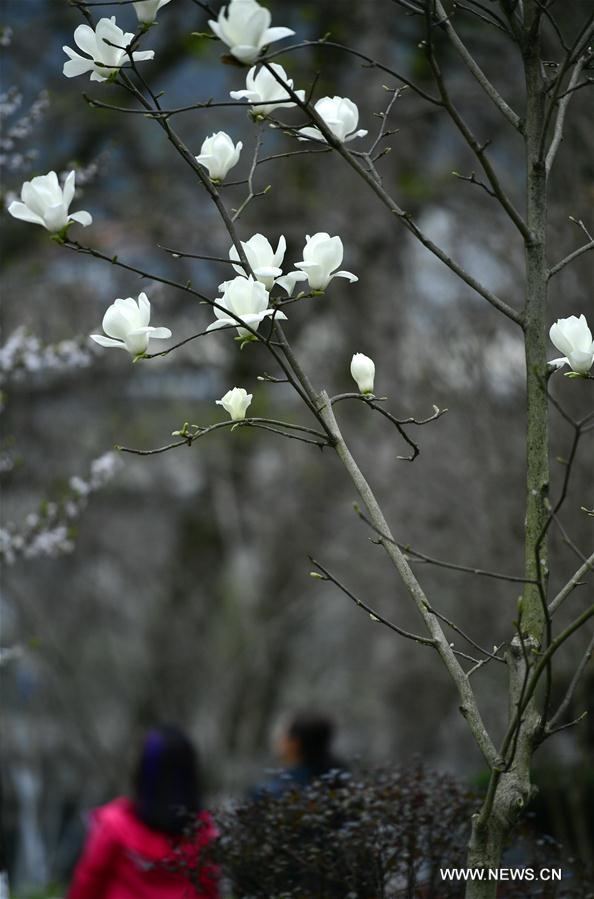 #CHINA-HUBEI-XUAN'EN-FLOWERS (CN)