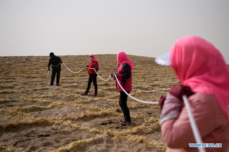 CHINA-GANSU-DESERT-PLANT (CN)