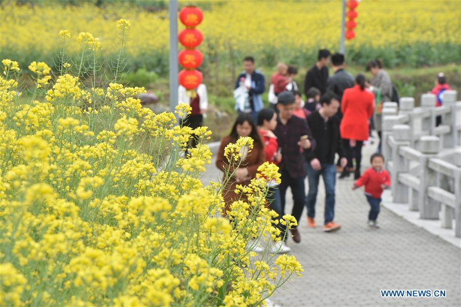 CHINA-FUJIAN-QUANZHOU-COLE FLOWERS (CN)