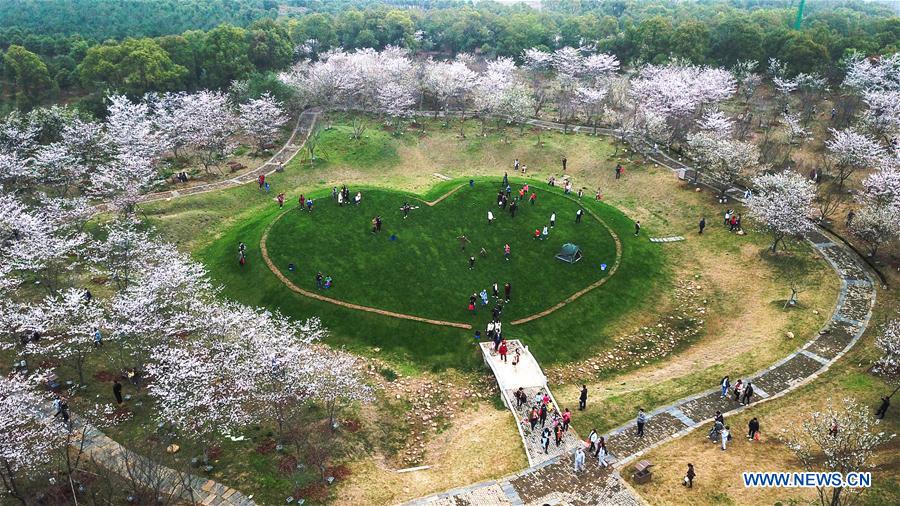 #CHINA-SPRING-SCENERY (CN)