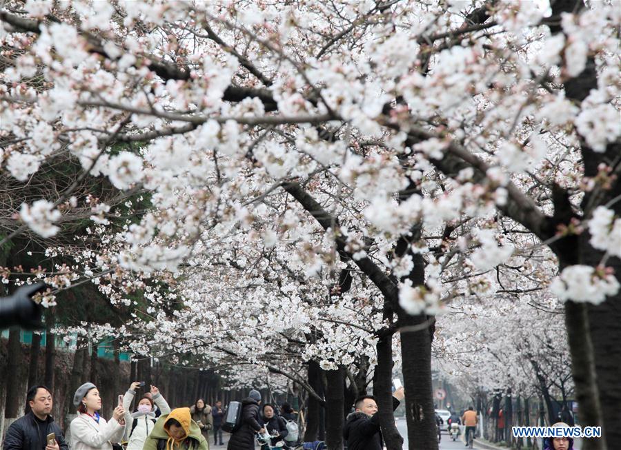 #CHINA-SPRING-SCENERY (CN)