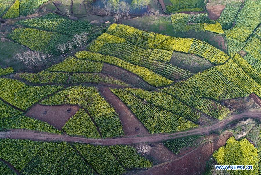 CHINA-SHAANXI-SPRING SCENERY (CN)