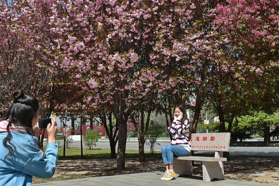 CHINA-SHANXI-SPRING SCENERY (CN)