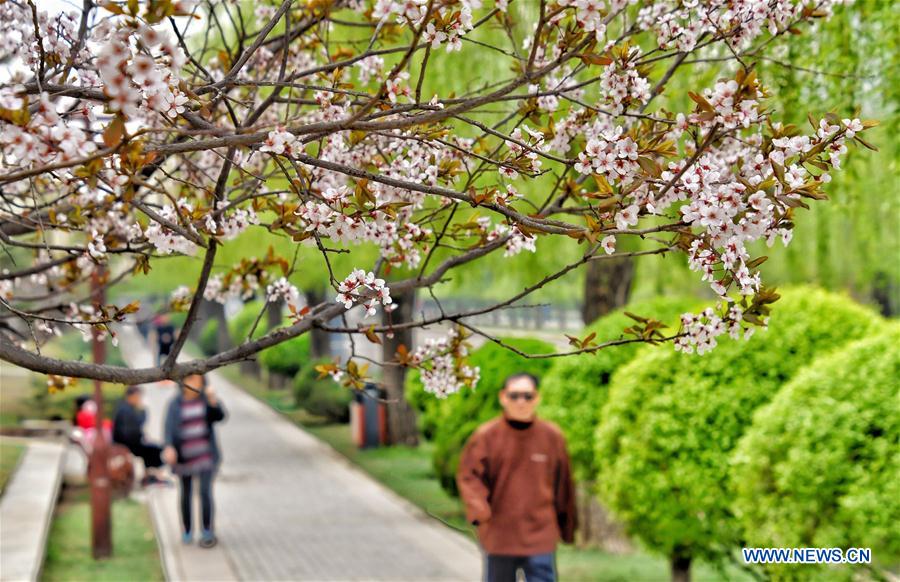 CHINA-BEIJING-DAILY LIFE (CN)