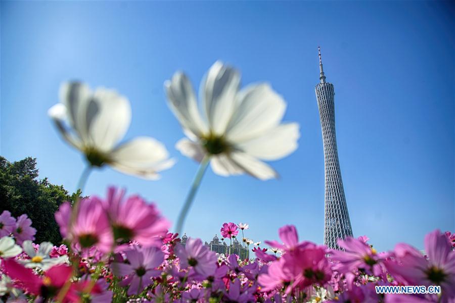 XINHUA PHOTO WEEKLY CHOICES (CN)