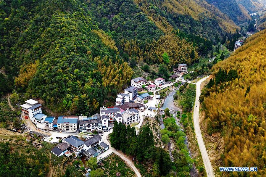 CHINA-FUJIAN-WUYI MOUNTAIN-TEA PRODUCTION (CN)