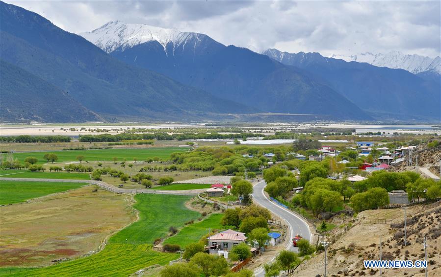 CHINA-TIBET-WETLAND-SCENERY (CN)