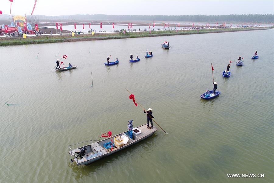 CHINA-JIANGSU-XUYI-CRAYFISH-HARVEST (CN)