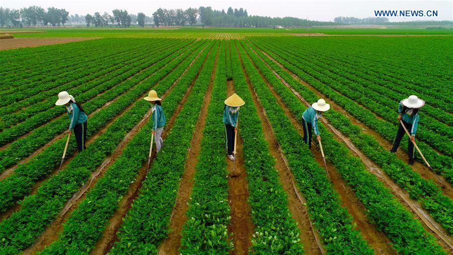 CHINA-TANGSHAN-CHILDREN-FARMING (CN)