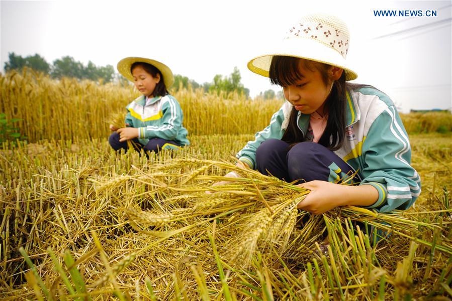 CHINA-TANGSHAN-CHILDREN-FARMING (CN)