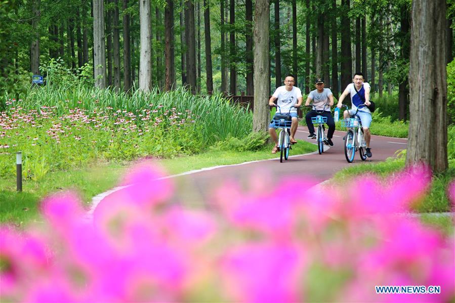 #CHINA-JIANGSU-FOREST PARK-SCENERY (CN)