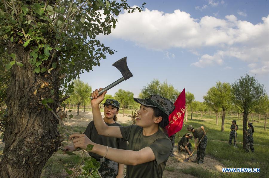 CHINA-SHAANXI-YULIN-MAOWUSU DESERT-FORESTATION (CN)