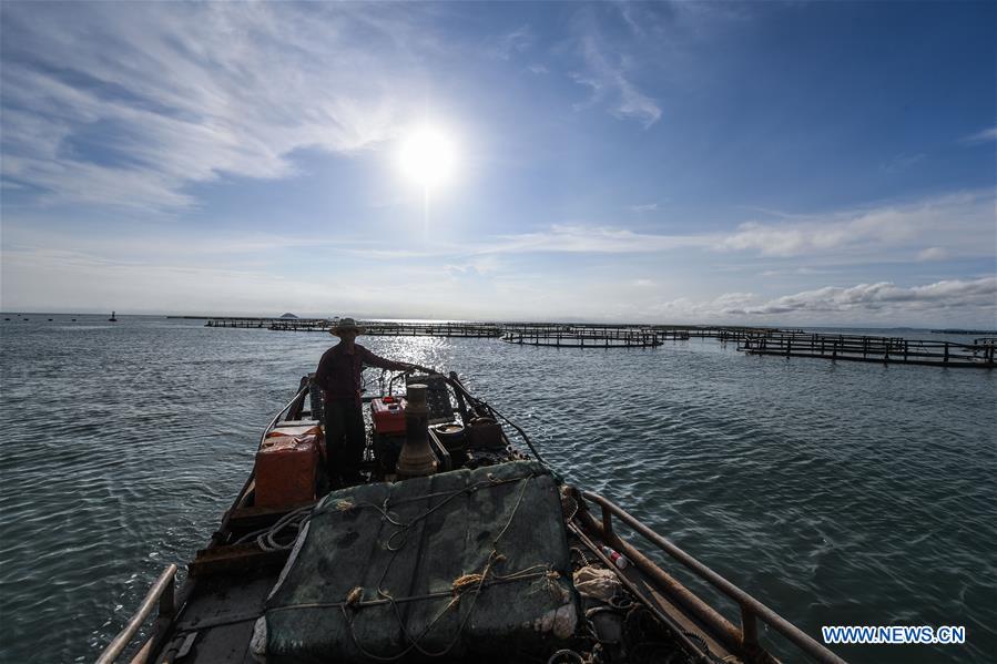 CHINA-ZHEJIANG-WENZHOU-MARICULTURE (CN)