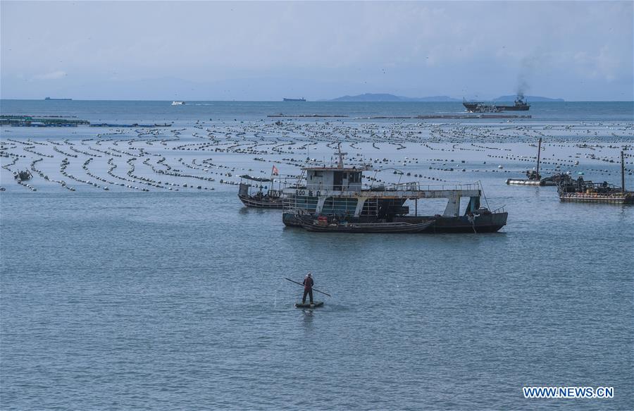 CHINA-ZHEJIANG-WENZHOU-MARICULTURE (CN)