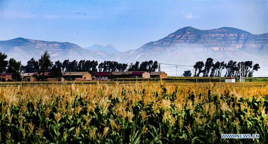 CHINA-SHANXI-GUANGLING-SCENERY (CN)