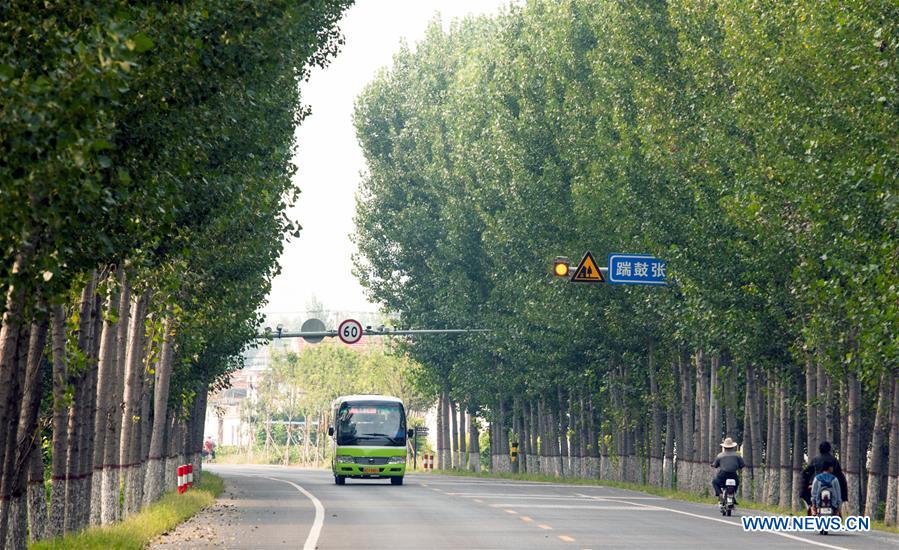 #CHINA-SHANDONG-GAOQING-ROAD (CN)