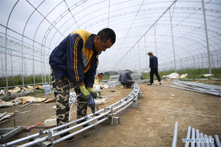 CHINA-NINGXIA-GUYUAN-VEGETABLE PLANTING (CN)