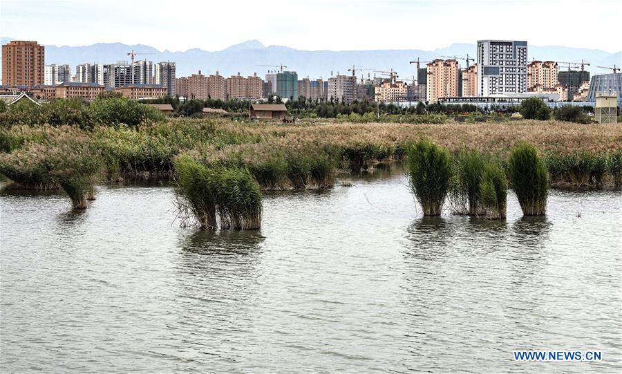 CHINA-GANSU-ZHANGYE-WETLAND (CN)