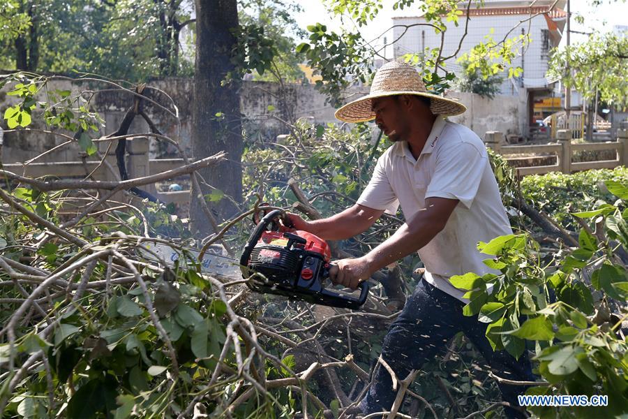 CHINA-GUANGDONG-YANGJIANG-MANGKHUT-DISASTER RELIEF (CN)