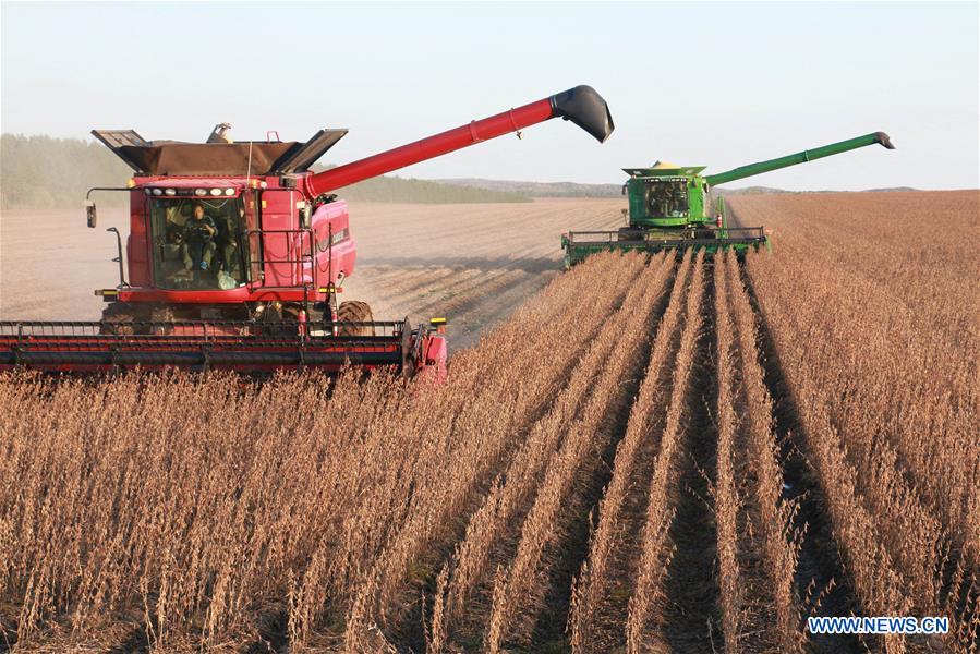 #CHINA-HEILONGJIANG-SOY BEAN-HARVEST (CN)