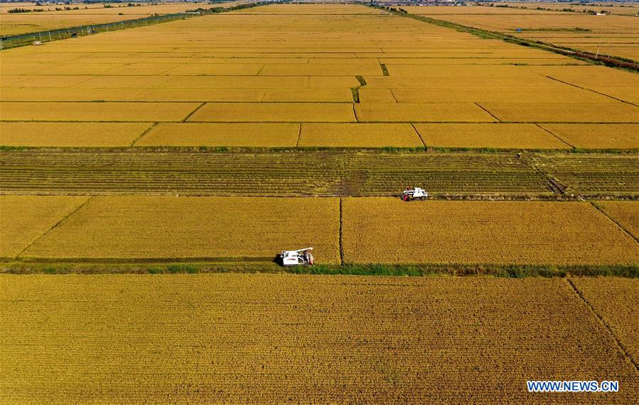 CHINA-HEBEI-FARMWORK (CN)