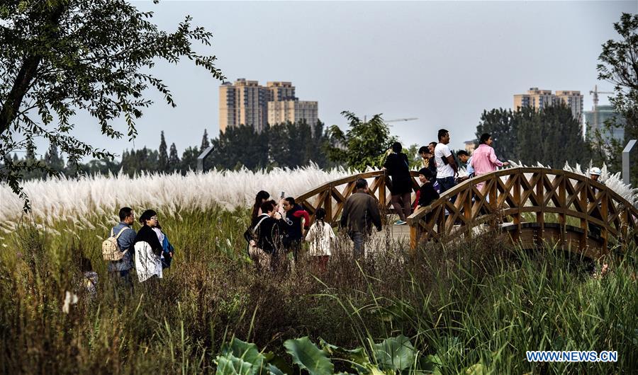 CHINA-SHAANXI-HANJIANG RIVER-WETLAND (CN)