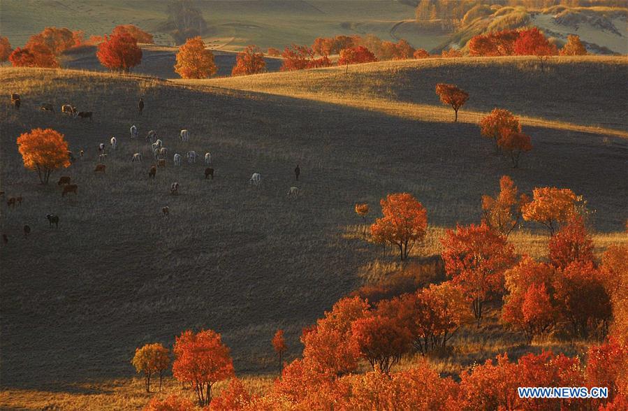 #CHINA-HEBEI-SAIHANBA-SCENERY (CN)