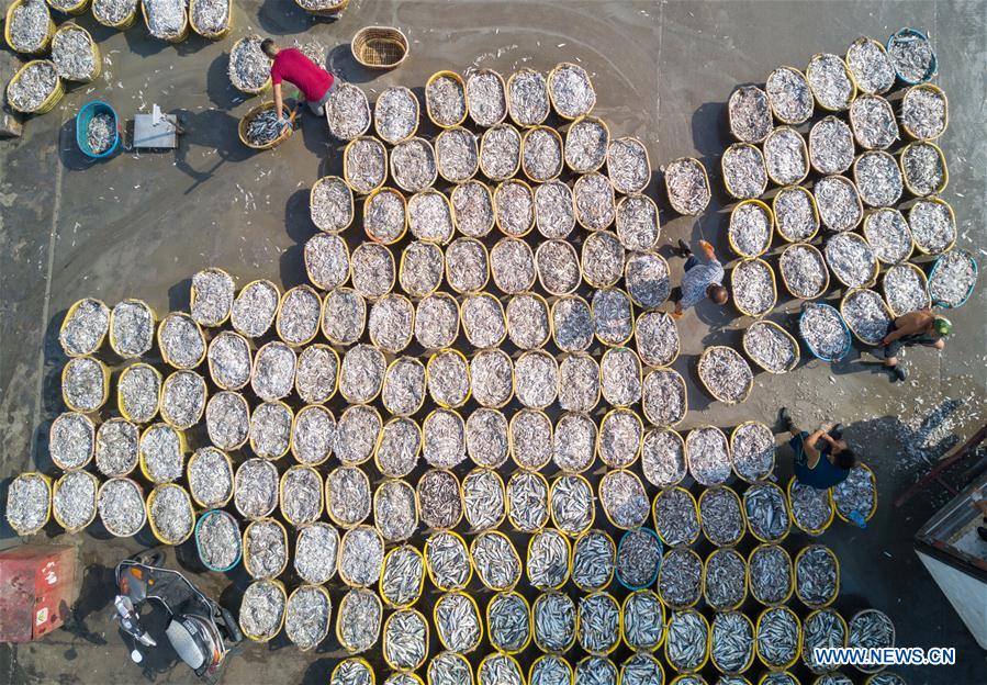 CHINA-FUJIAN-SHISHI-FISHING (CN)