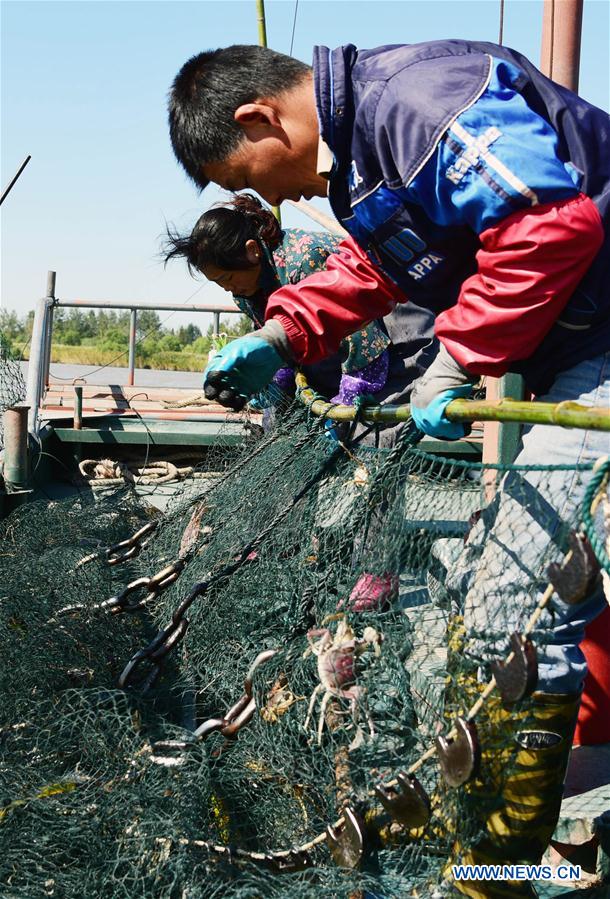 #CHINA-JIANGSU-YANGTZE RIVER-CRAB (CN)