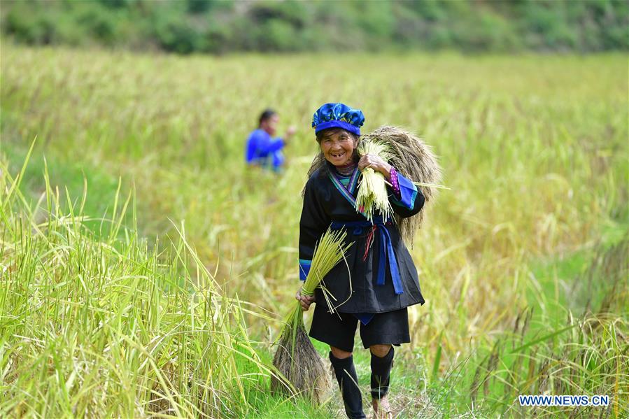 CHINA-GUANGXI-RONGSHUI-POVERTY ALLEVIATION (CN)