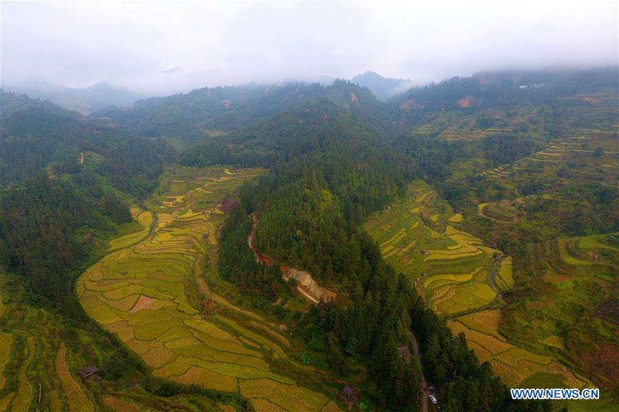 CHINA-GUANGXI-RONGSHUI-POVERTY ALLEVIATION (CN)