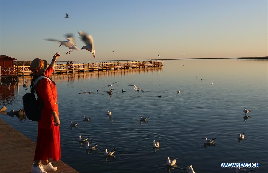 CHINA-INNER MONGOLIA-JUYAN LAKE-SCENERY(CN)