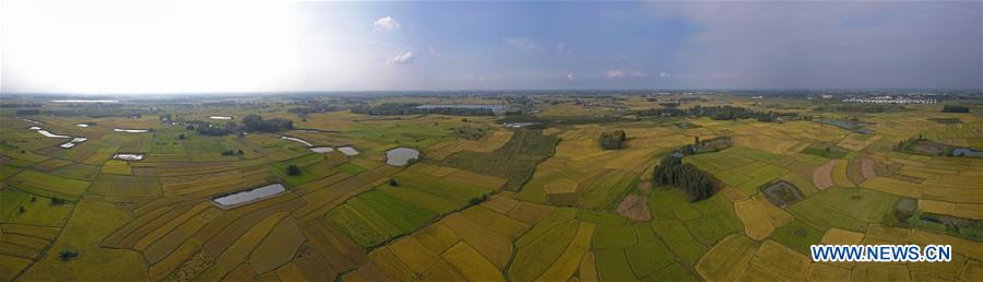 CHINA-ANHUI-FENGYANG-XIAOGANG VILLAGE-RURAL LAND REFORM (CN)