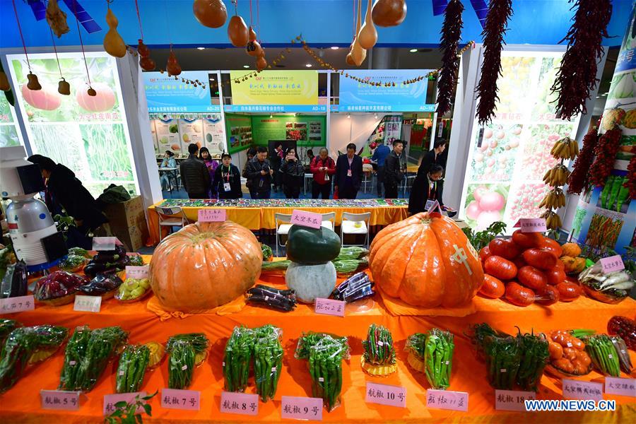 CHINA-SHAANXI-YANGLING-AGRICULTURE-FAIR (CN)