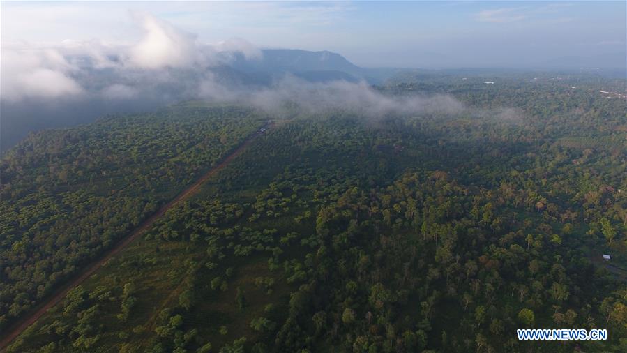 LAOS-CHAMPASAK-BOLAVEN PLATEAU