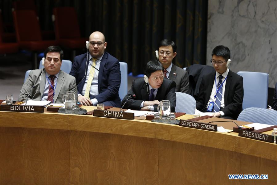 UN-SECURITY COUNCIL-IS