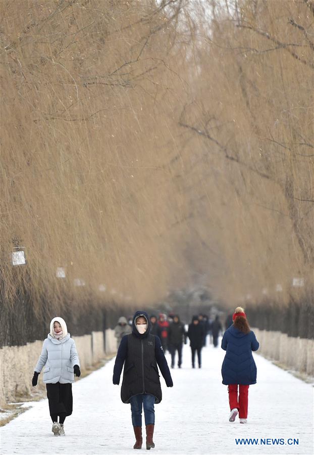 CHINA-SHENYANG-SNOWFALL(CN)