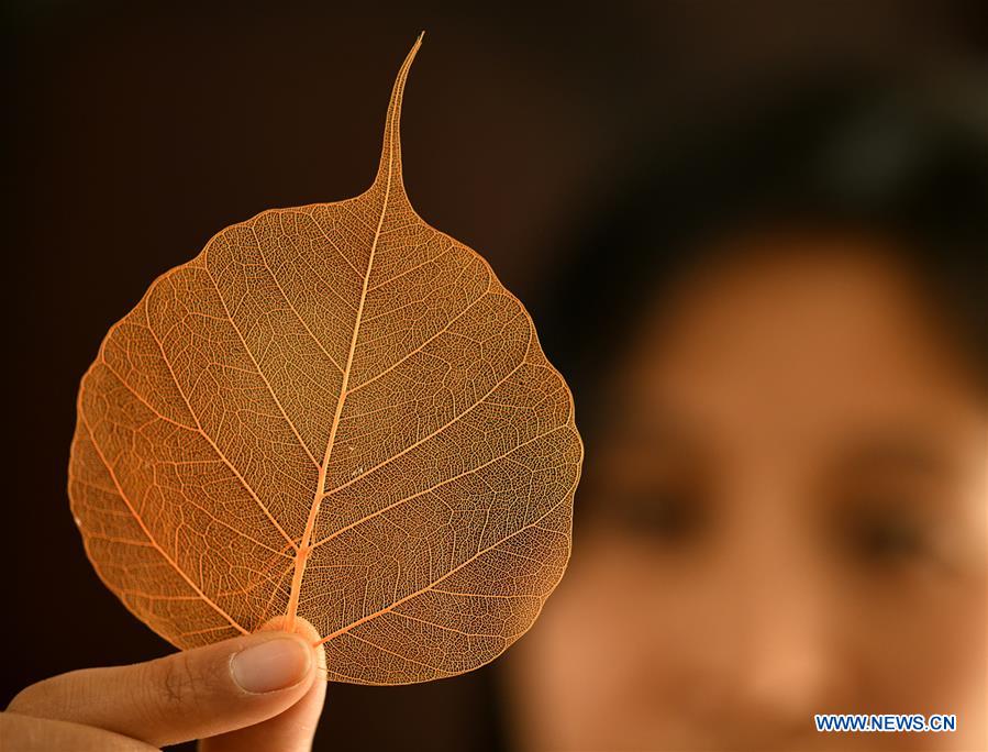 #CHINA-HEBEI-SHIJIAZHUANG-LEAF CARVING (CN)