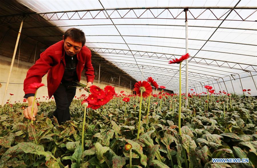 #CHINA-WINTER-AGRICULTURE (CN)