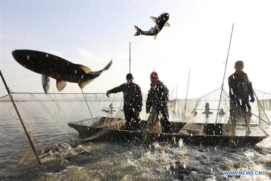 #CHINA-JIANGSU-XUYI-WINTER FISHING (CN)