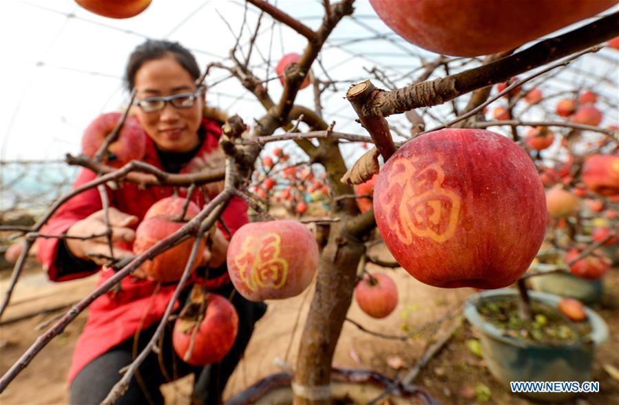 XINHUA PHOTOS OF THE DAY