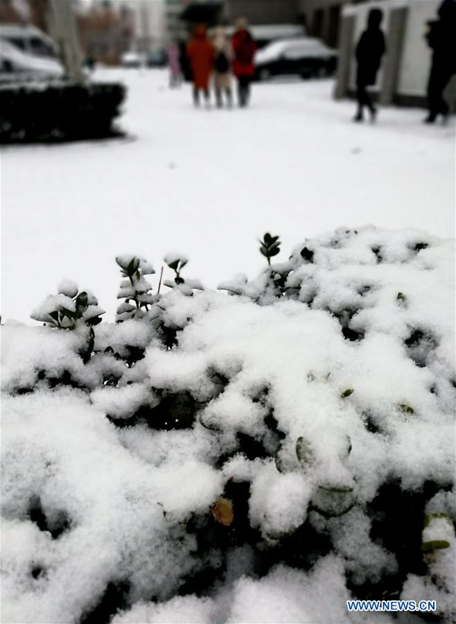 #CHINA-SNOWFALL (CN)