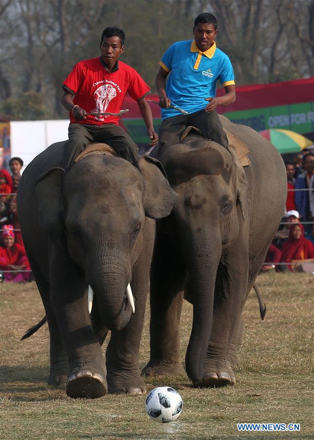 NEPAL-CHITWAN-ELEPHANT FESTIVAL