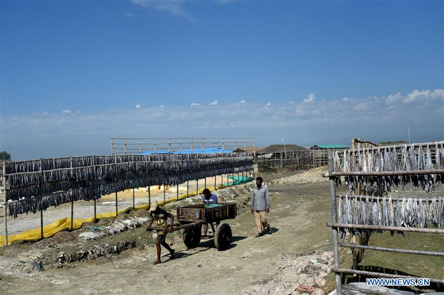 BANGLADESH-COX'S BAZAR-FISH DRYING